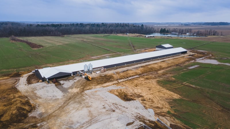 NuAge-Happy Hens-800x500-1