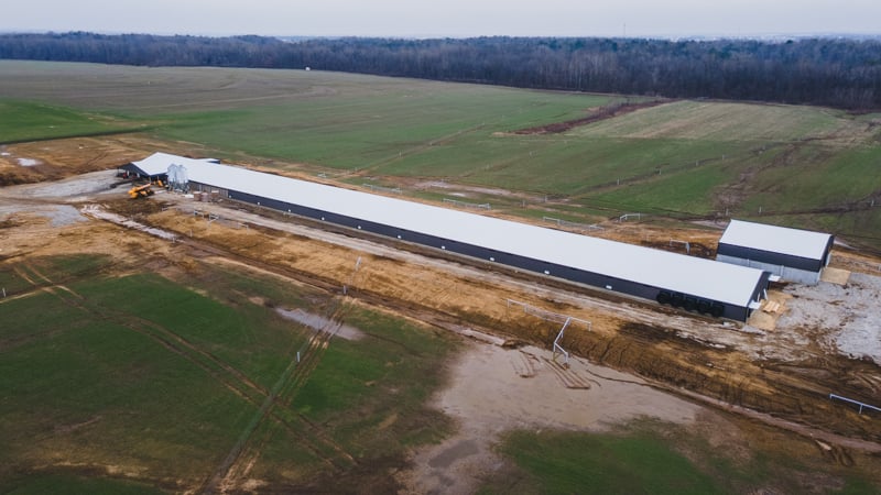 NuAge-Happy Hens-800x500-5