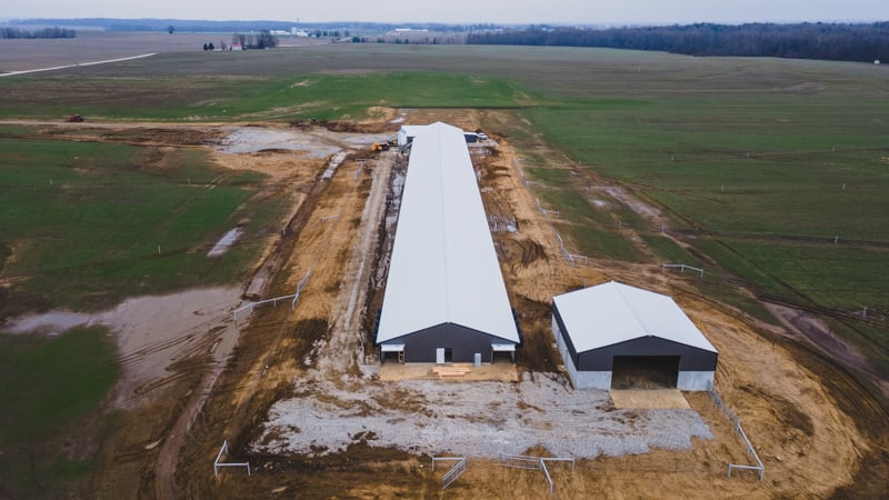 NuAge-Happy Hens-800x500-6